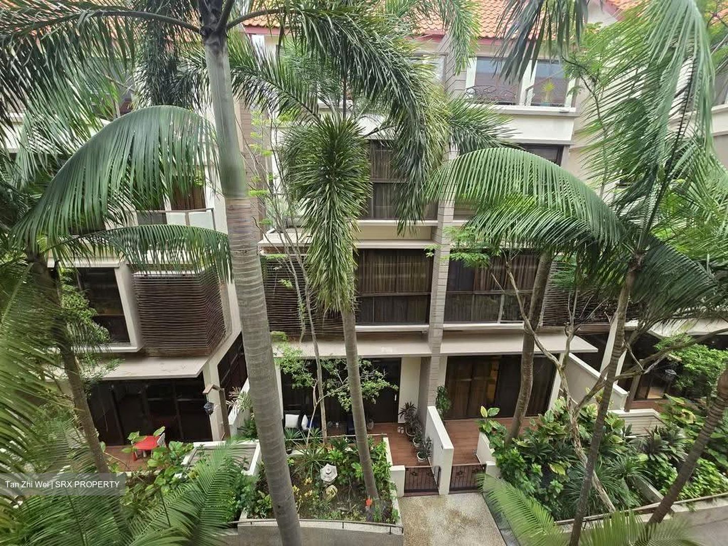 Holland Link (D10), Terrace #618193321